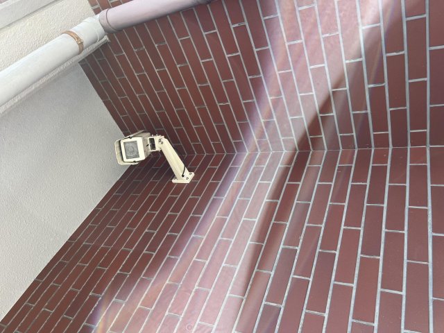 アベニュー・ドミール その他