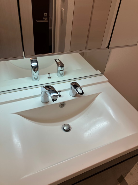 セルアージュ横濱関内エリーゼ 洗面