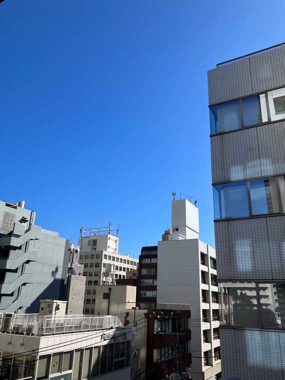 セルアージュ横濱関内エリーゼ その他