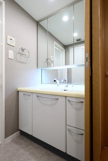 リブゼ横浜紅葉坂 洗面