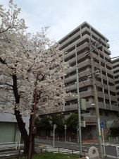 フロール山田町第１のイメージ